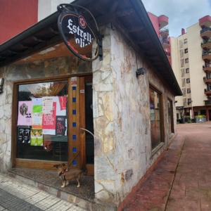 Foto_bar_zizurki_eli_8